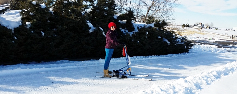 Snow Goose Ski Sled